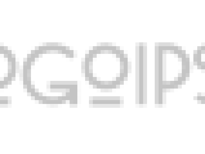 logoipsum-215.png